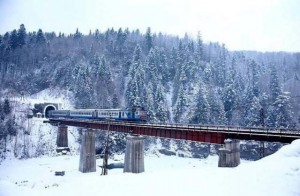 Яскравий відпочинок на Закарпатті