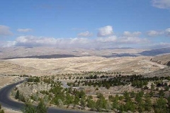 Сирийские пейзажи Сирийские пейзажи