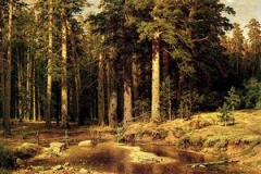 Корабельной роще” Ивана Шишкина исполнилось 115 лет Корабельной роще” Ивана Шишкина исполнилось 115 лет