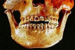 Самые знаменитые находки археологов за прошедший десяток лет Самые знаменитые находки археологов за прошедший десяток лет